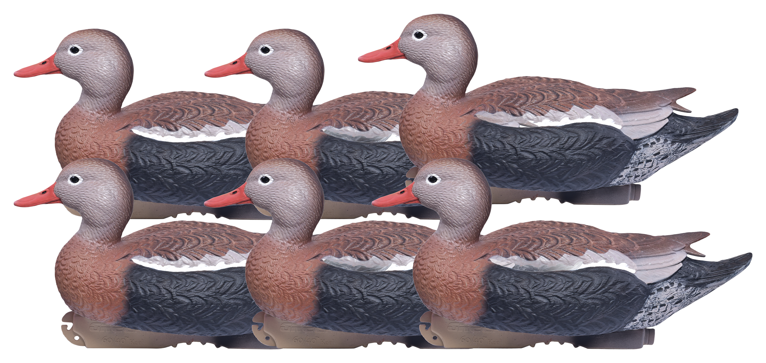 GreenHead Gear Pro-Grade Black-Bellied Whistling Duck Decoys | Bass Pro ...